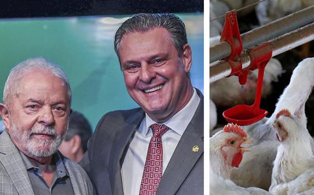 Montagem (da esq. para a dir.): Luiz Inácio Lula da SIlva, Carlos Fávaro e frangos no Brasil