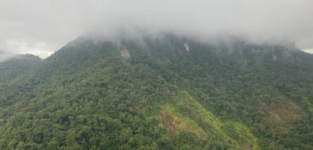 Área de Mata Atlântica onde se deram as buscas do avião desaparecido